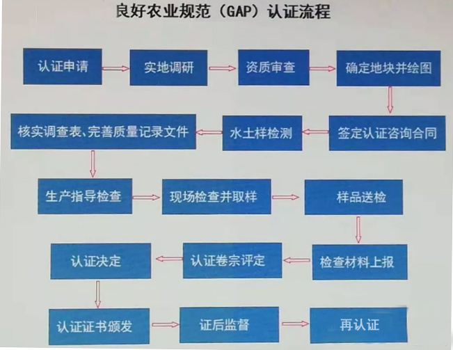 GAP认证流程图.jpg