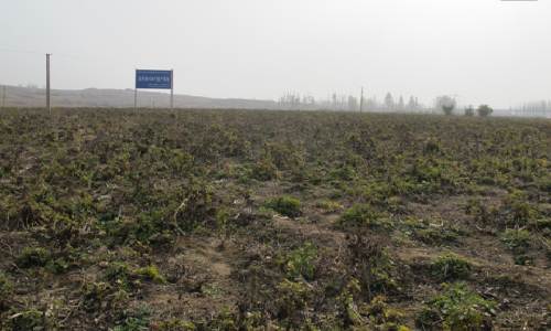GAP认证基地